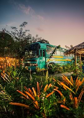 Abandoned Teal Bus in Tropical Overgrowth