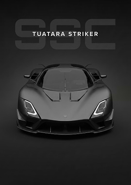 sleek black SSC Tuatara Striker Hypercar poster