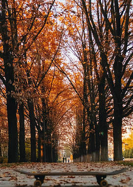 Autumn Skateboard Poster — Fall Street Photography, Orange Leaf Tree Alley Wall Art