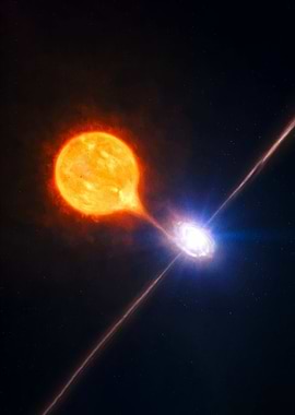 Binary Star System with Jets