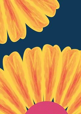 Vibrant Floral Petals on Dark Background
