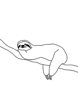 Sloth hanging on a branch