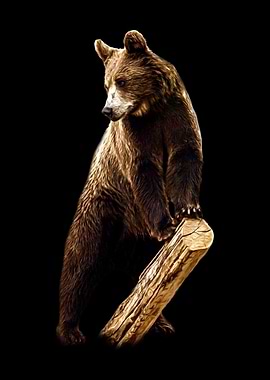 Brown Bear Standing on a Log