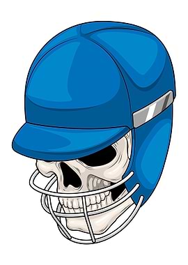 Skull Cricket Helmet