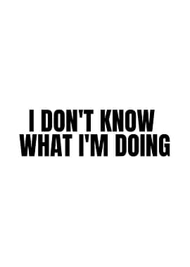I Don't Know What I'm Doing Text
