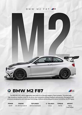 white side BMW M2 F87 Race Car
