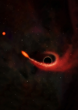 Black hole accretion disk and jet