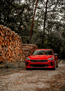 Red Kia Stinger in Forest