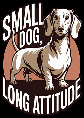Dachshund Small Dog Long Attitude