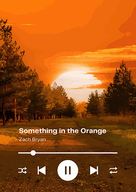 Something in the Orange Music Player