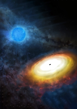 Blue Star and Black Hole