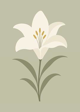 Lily Flower with Green Leaves