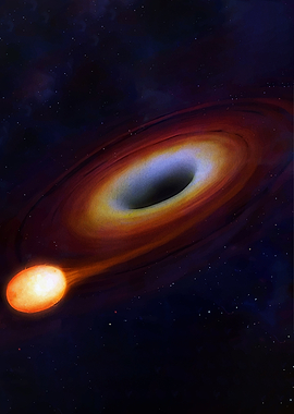 Black Hole Accretion Disk and Star