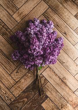 Purple Lilac Flowers on Wooden Background