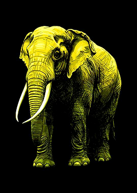 Yellow Elephant Illustration