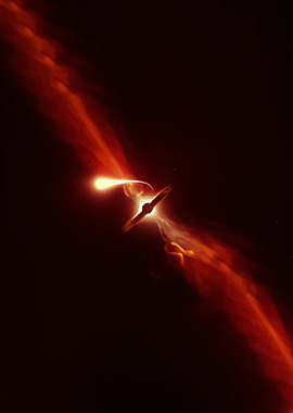 Black Hole Accretion Disk and Jets