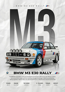 BMW M3 E30 Rally Car Poster
