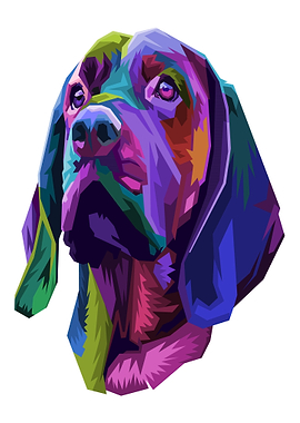 Colorful Dog Portrait