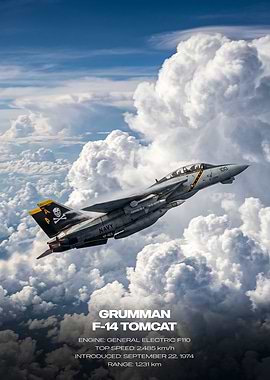 Grumman F-14 Tomcat in Clouds