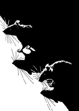 Three Rats in Silhouette