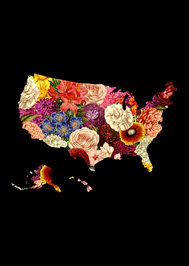 Blooming USA Map Flower