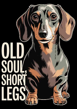 Dachshund with 'Old Soul, Short Legs' text