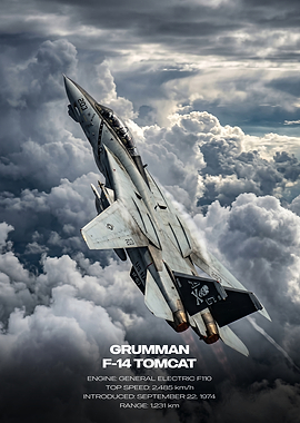 Grumman F-14 Tomcat