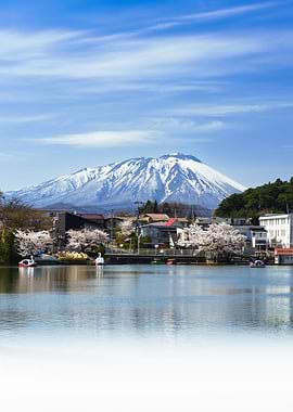 Mount Iwate in Morioka with Cherry Blossoms and Lake