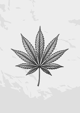 Black and White Cannabis Leaf Illustration