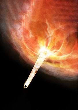 Black Hole Jet