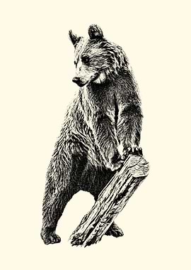 Bear Standing on a Log