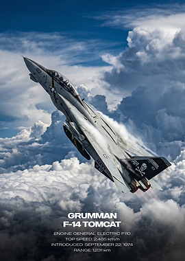 Grumman F-14 Tomcat
