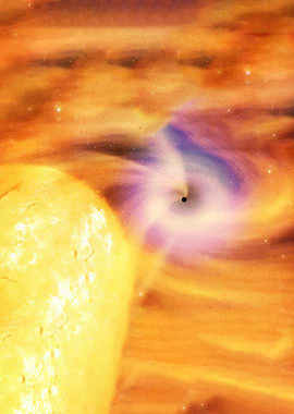 Black Hole Accretion Disk