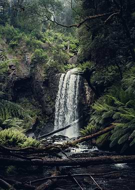 Misty Waterfall in hopetoun fall (australia)