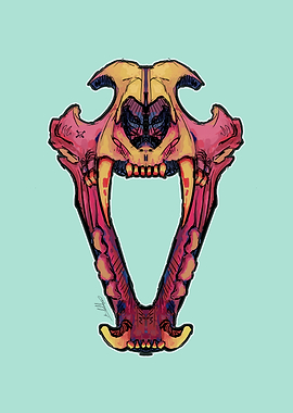 Colorful Sabre-toothed Cat Skull