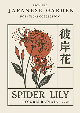 Spider Lily Botanical Illustration