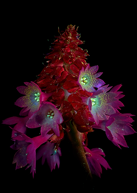Red Flower Tower