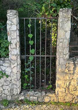 Overgrown Gate with Stone Pillars