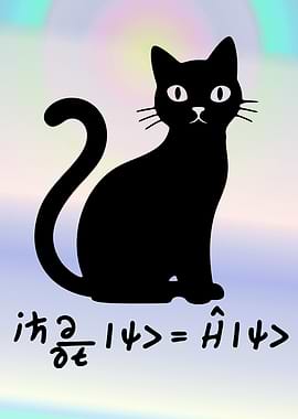 Schrodinger's Cat Quantum Equation