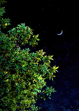 Tree branches against a starry night sky