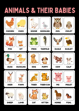 Animals Chart For Kids Learning