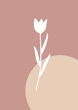 Minimalist White Tulip on Pink Background