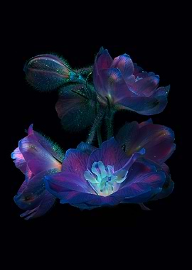 Flower Cluster