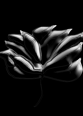 Abstract Black and White Flower