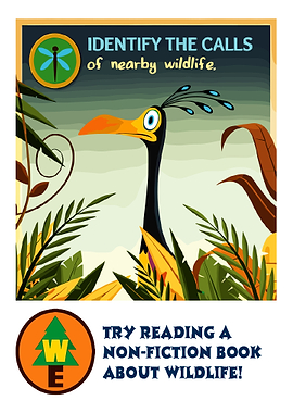 Cartoon Bird and Wildlife Poster