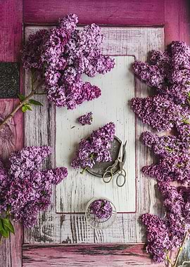 Purple Lilacs and Scissors