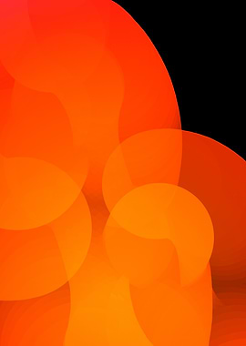 Orange Bloom