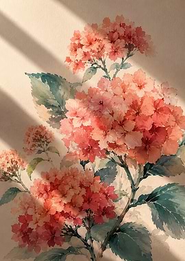 Watercolor Hydrangeas with Shadow Play