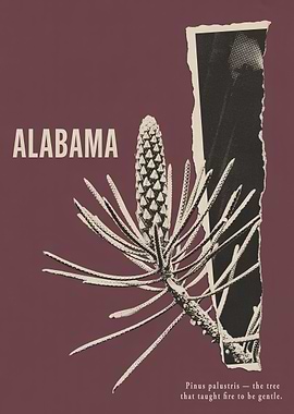 Alabama Longleaf Pine Poster