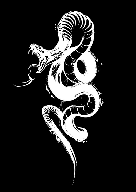 White Snake Skeleton on Black Background